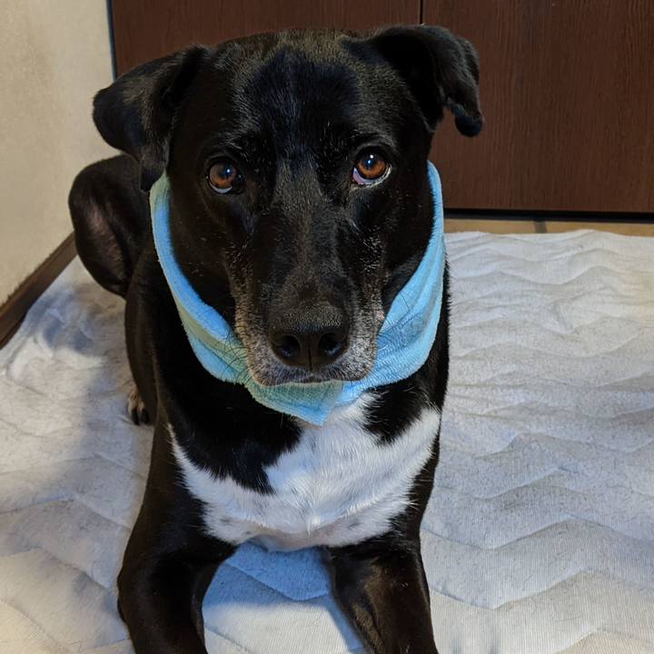 D9be016c 8c5a 41db b3b5 b737b7cbf618 1689206468233