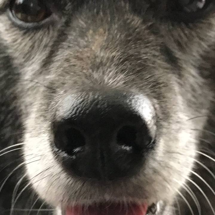 D9be0401 85bc 44ef 9cd6 eee9cdc134f6 1523778146673