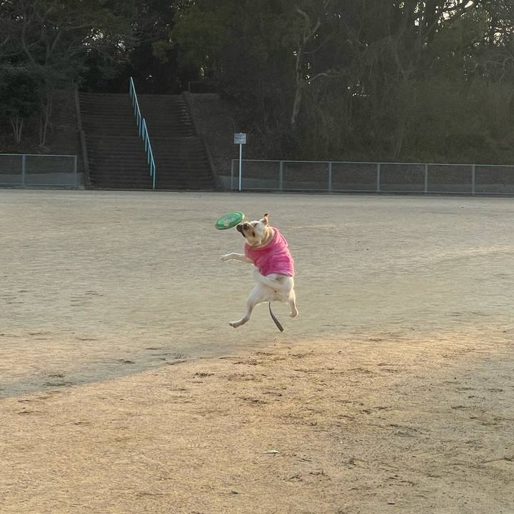 D9be05cb 62fa 4508 acce c0799f0f9dd5 1675844924563