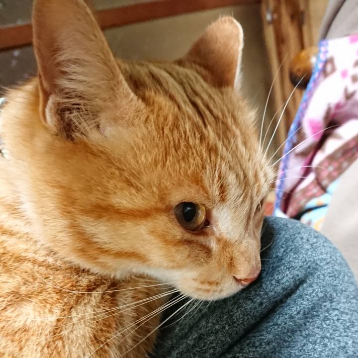 D9be0ed1 c192 4377 9365 b84dc07ab779 1585134944546