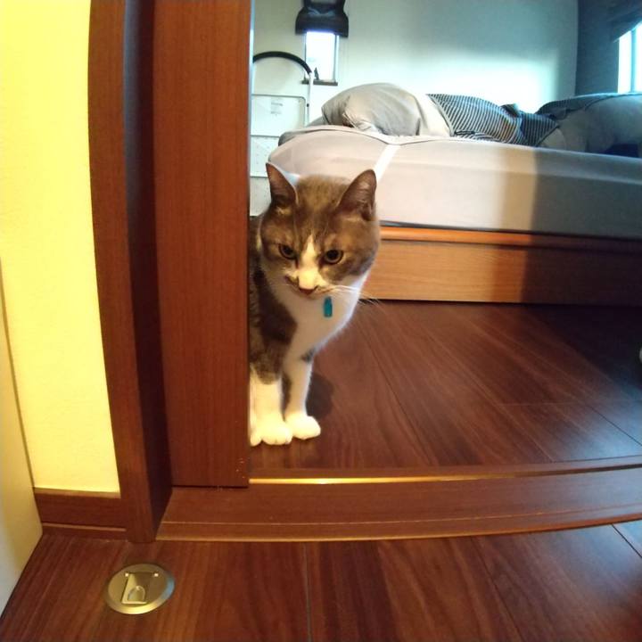 D9be40c3 9507 401f 8c7d 6ca817aa45ae 1645395959754