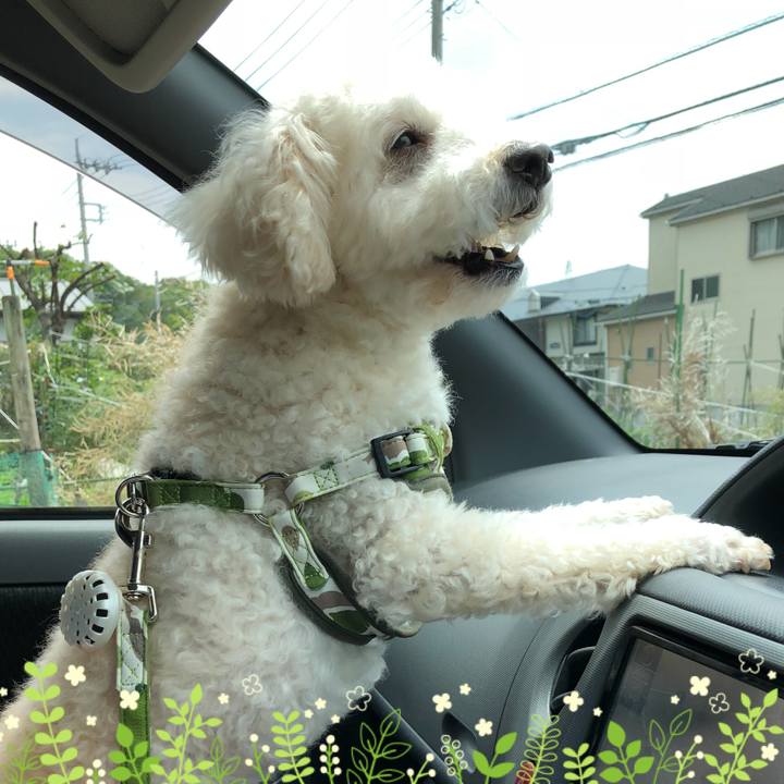 D9be4a9c 045f 43c4 aa5a 6028074c759a 1529359111289