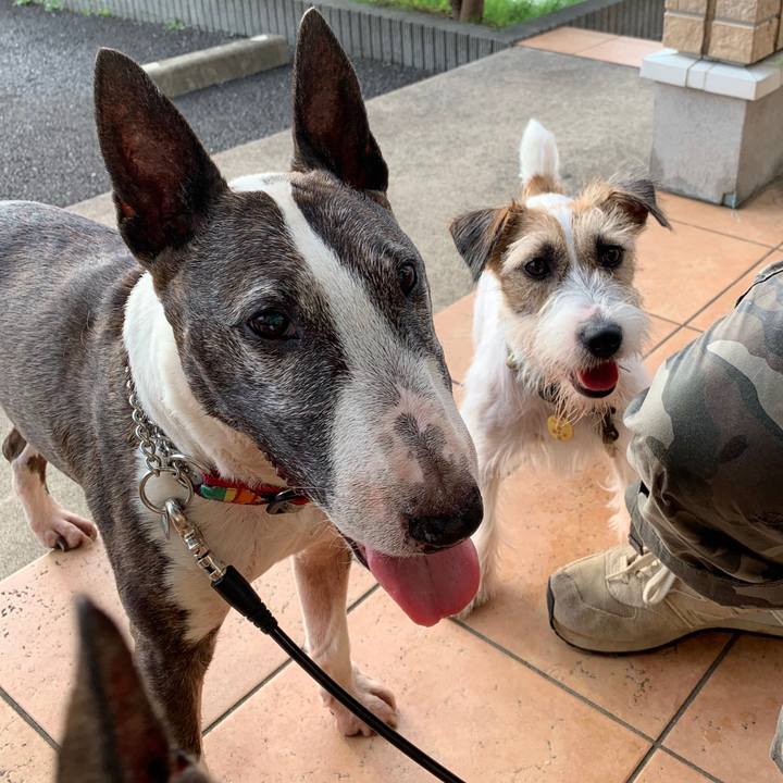 D9be9d75 6a60 4be0 9c2a b1068e92af4d 1594462572363