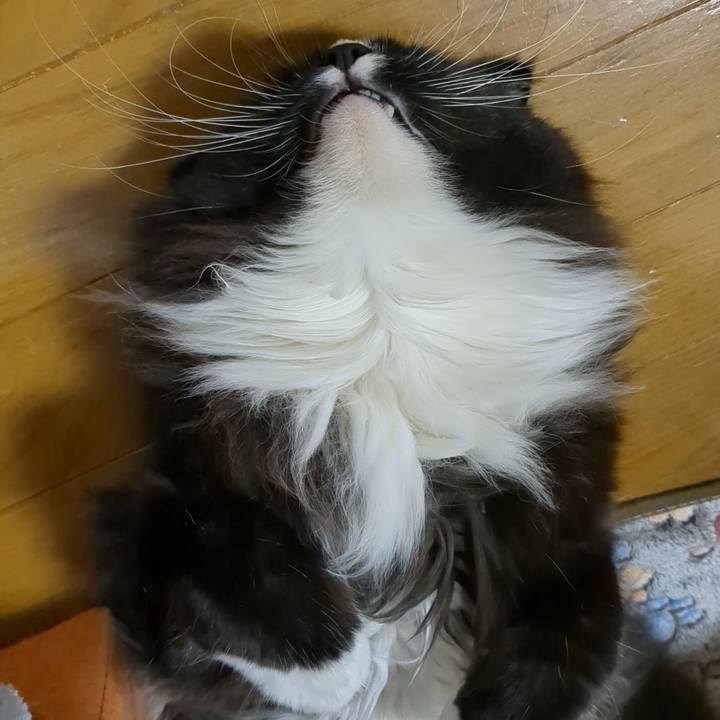 D9beadcc 1de7 45b3 ae2c 8b47077c4b69 1683809296516