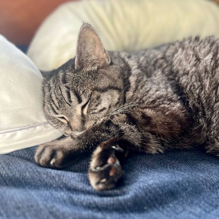 D9becde4 17d0 4d87 b2a5 490d1996bcd2 1758453349324