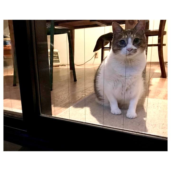 D9becec3 2672 43a7 af3a 4192724c9dd3 1652613657919