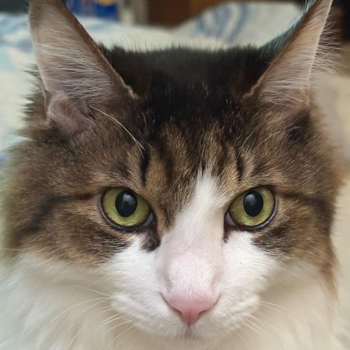 D9bef544 850e 4dc6 981c b8d0311690c5 1769650117612