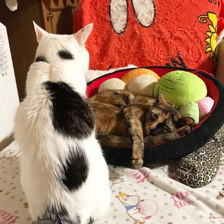 D9bf439b 0692 4cbd bee6 81bcd5c96c58 1645914523014