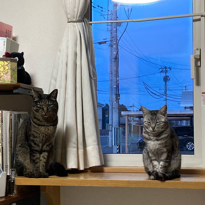 D9c067eb ca63 4aca 8945 819c74610d48 1742243087244