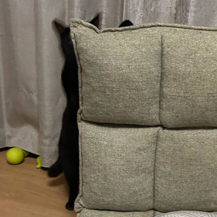 D9c07837 498d 47bc 890c d8f46ea4bfbb 1654779795043