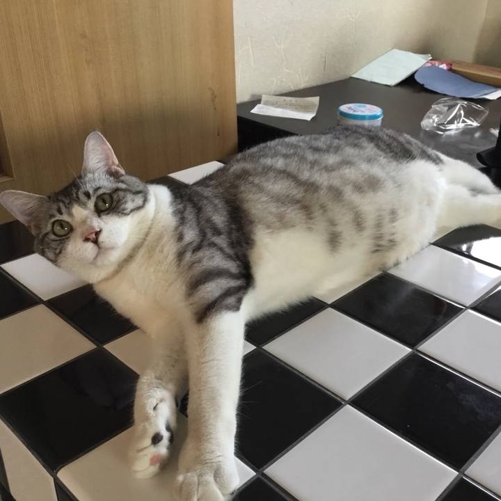 D9c0847c 4f3b 4277 988c 0f493baf7b84 1533165920268