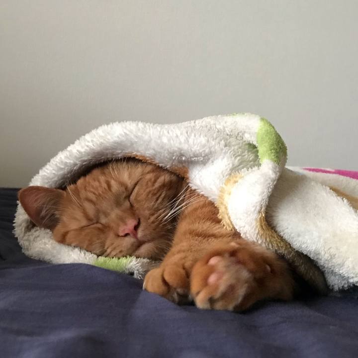 D9c09349 6b99 4c4e a8de fdeb4cdb17fe 1557023151690