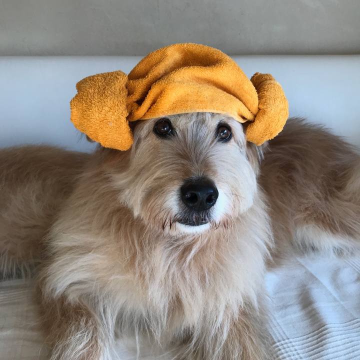 D9c12418 e58d 48dc 9f1c e32de362a6ca 1549068346550