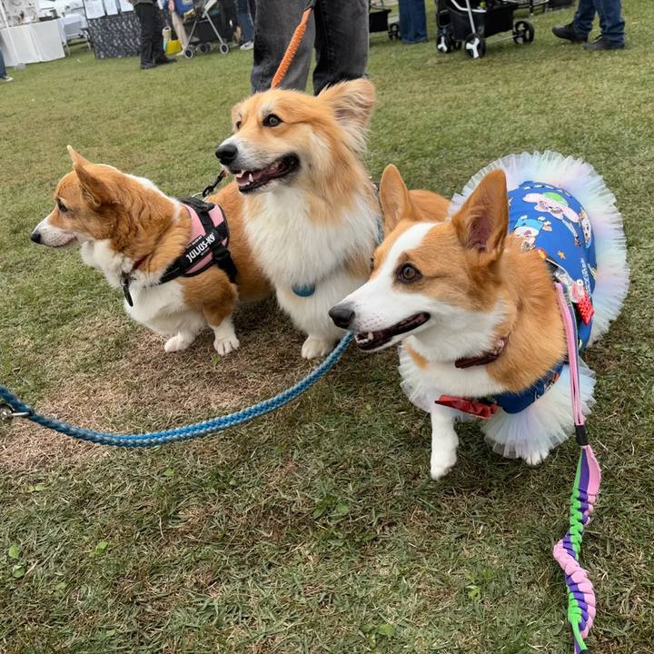 D9c124e8 5e29 4981 9e17 0434bf7cabe1 1760273089492