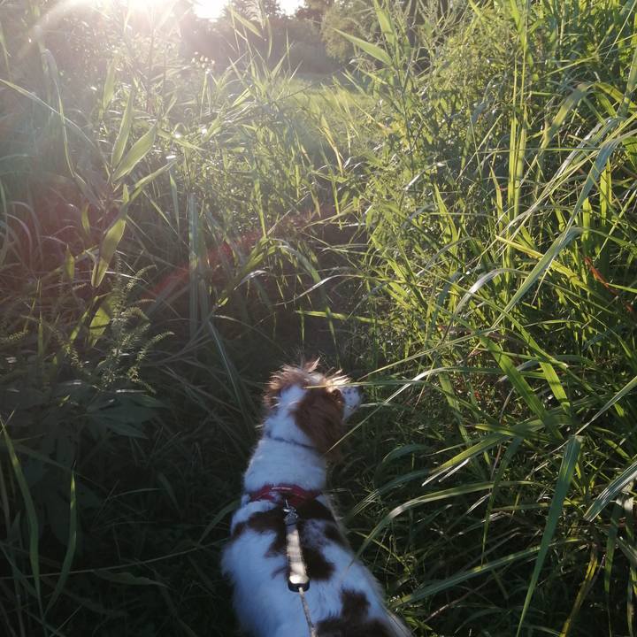 D9c13197 2c6b 4e01 91ed a8ceead3f33d 1568891984070