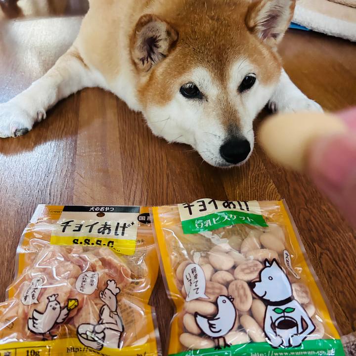 D9c133fa 5d8f 493b 975e 30fd160f369f 1725763599394