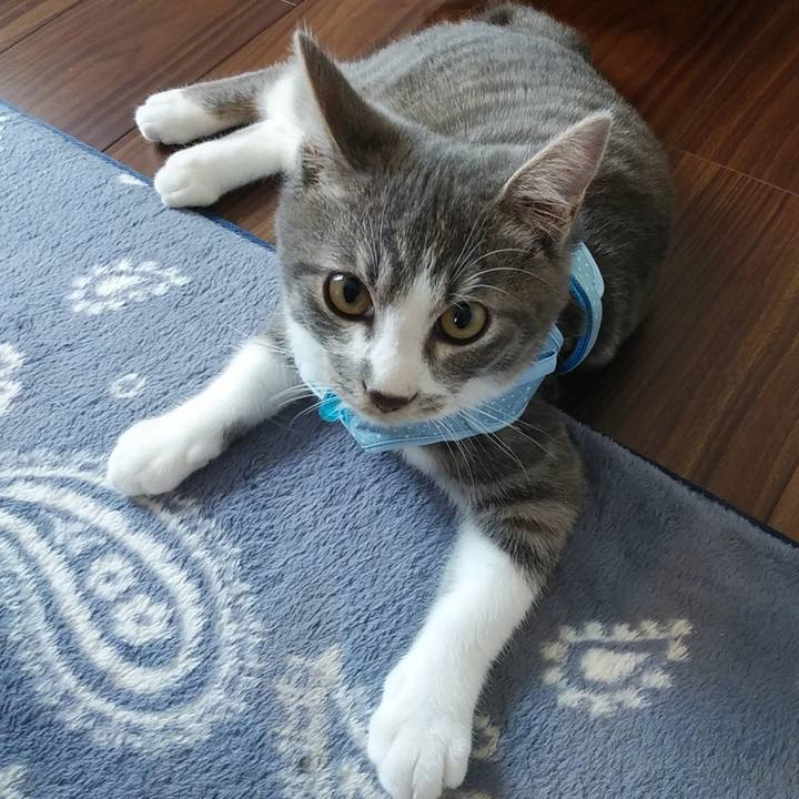 D9c13612 8619 47b5 8080 ece4b8612f32 1568699244949