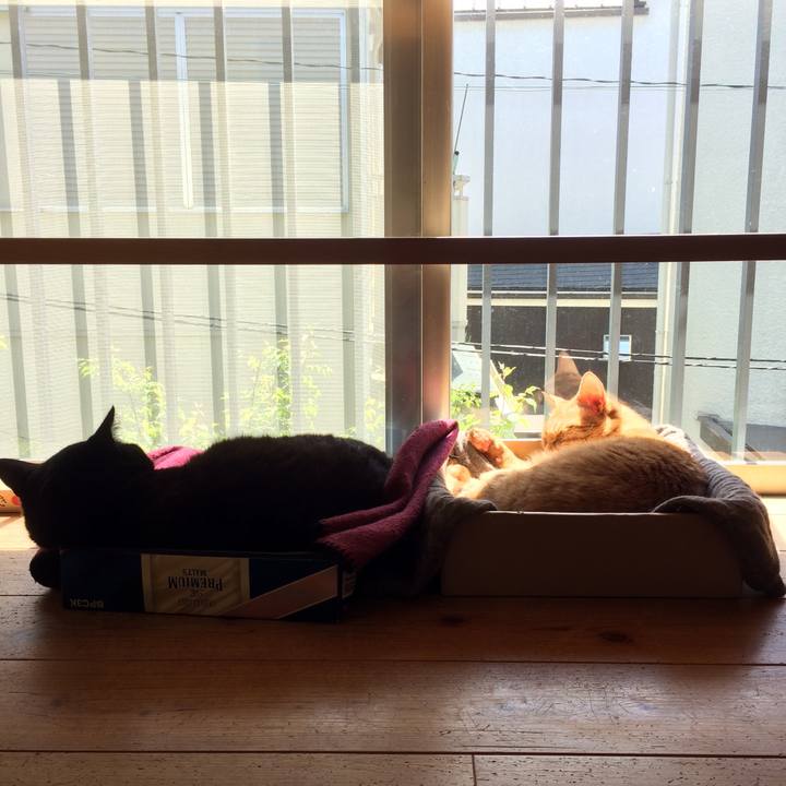 D9c16162 368a 476b b253 50bfbff4ce17 1523186528024