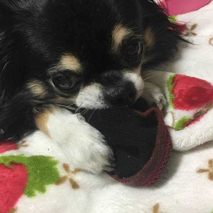 D9c171fc ad73 4d99 8b01 b265d6af912c 1510139657476