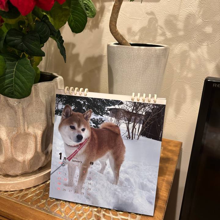 D9c17bc8 bd71 4e73 ab2a 12b1c8d3025a 1764769813642