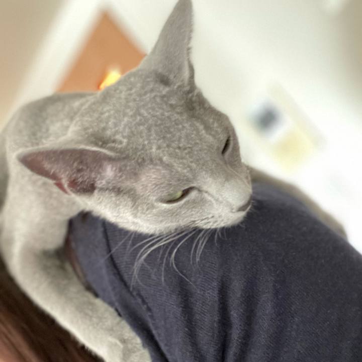 D9c1a14c 873d 4126 99d0 df7fcdd8b0d9 1605931745578