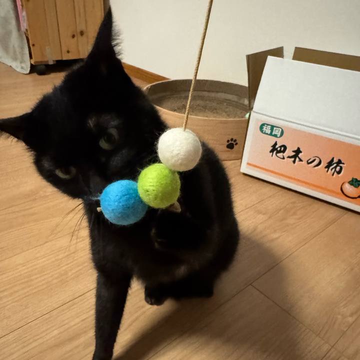 D9c1b911 35bc 4c09 af4c cd59bf3a8f2f 1733741098863