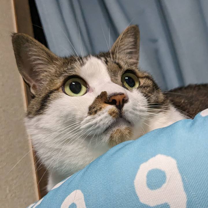 D9c1cfe9 d548 4dd0 9ee9 f1ea03ab0c4d 1680696142327