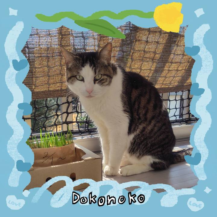 D9c206c4 494a 4121 a16d 8d9f9a384f19 1772079298214