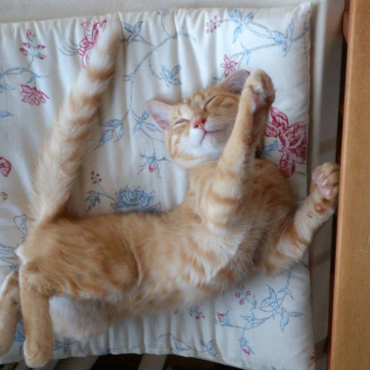 D9c245bd a504 4832 98e9 405e1d7c5513 1527808797121