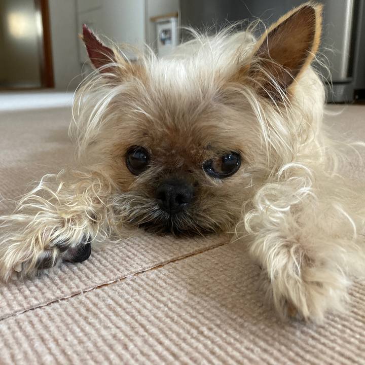 D9c25752 4959 42a1 b970 f63301602026 1625536761442