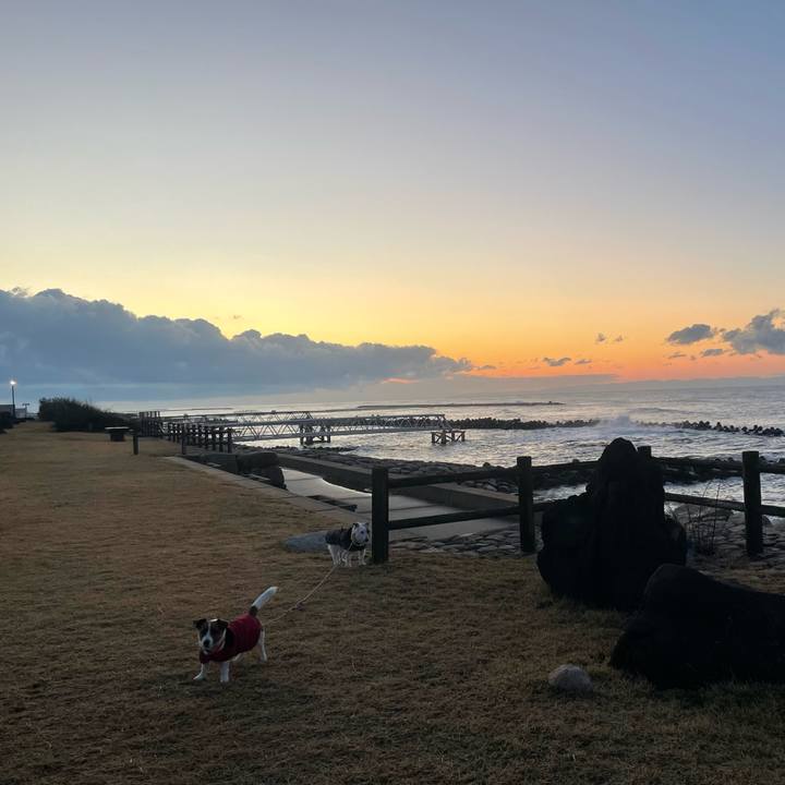 D9c294ec acea 4f71 9f79 8fcfd43befc7 1765354621694