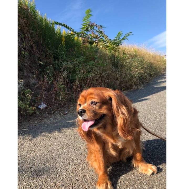 D9c29ab9 9665 4402 84a7 55cdeea3b078 1634346291315