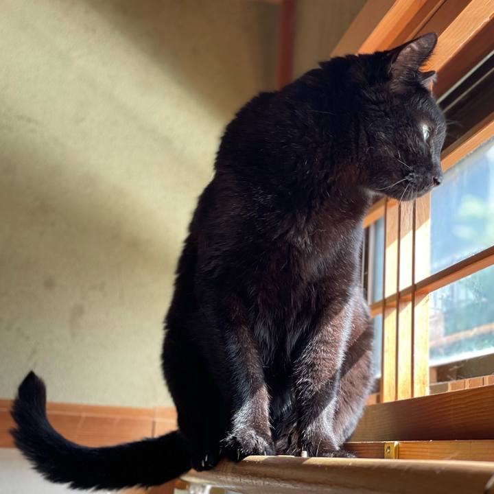 D9c2f033 962c 42b8 bf23 916b596e2e73 1652148261519