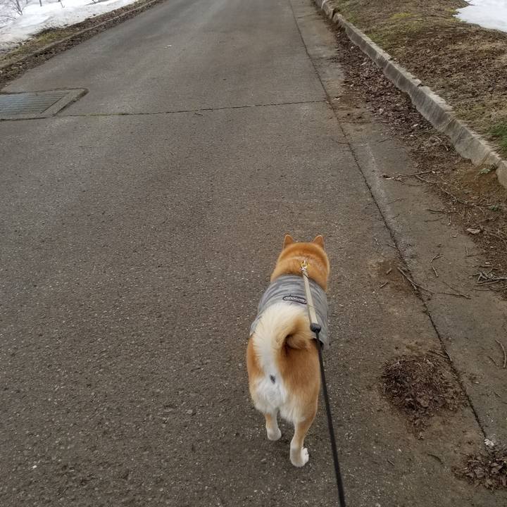 D9c30d59 4d93 4075 b592 6492c426ef7f 1678602919181