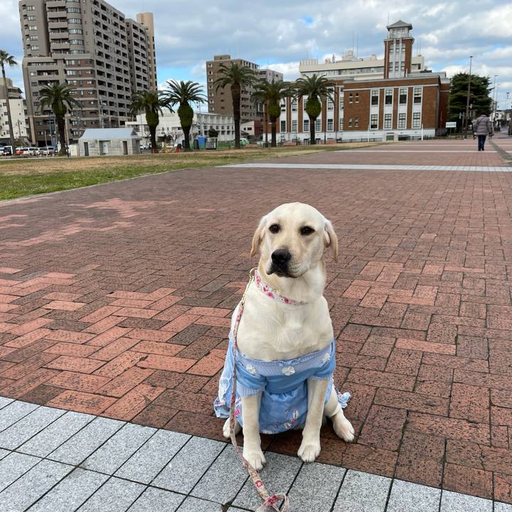 D9c3329e e900 4a1d 8a1d 3db30e3c758d 1642383534548