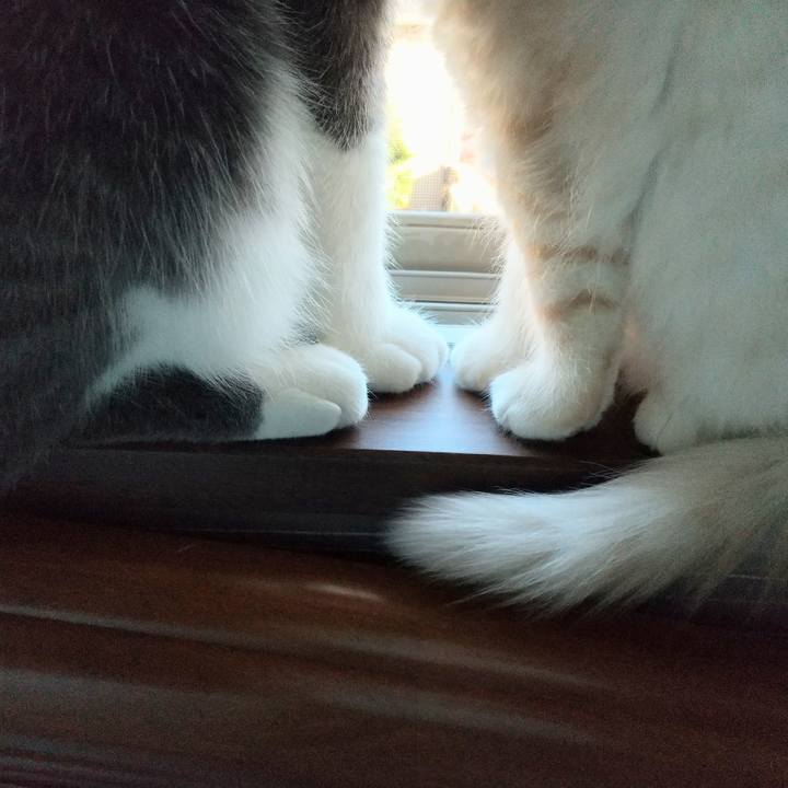 D9c33e31 82ac 4c19 b354 bfb8e1e7aa18 1605914214837