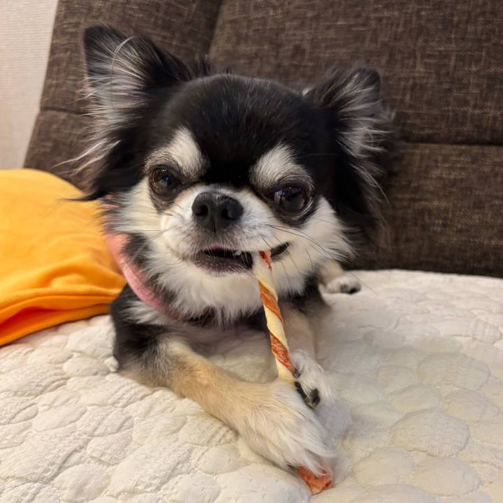 D9c35309 4924 4ed7 998e f7efc258a132 1739290190414