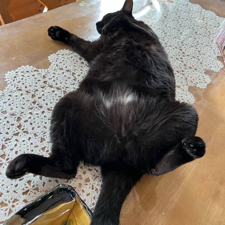 D9c3584d 9617 4c8e adb4 b376f5c17284 1660185555260