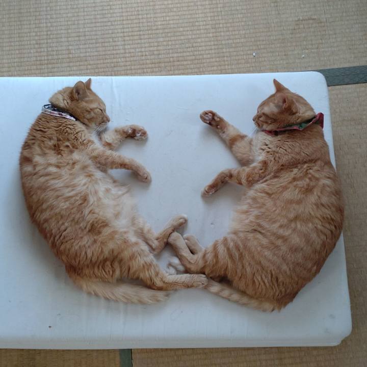 D9c39880 8c55 4298 a12b 15a0d2a7c34e 1662448193941