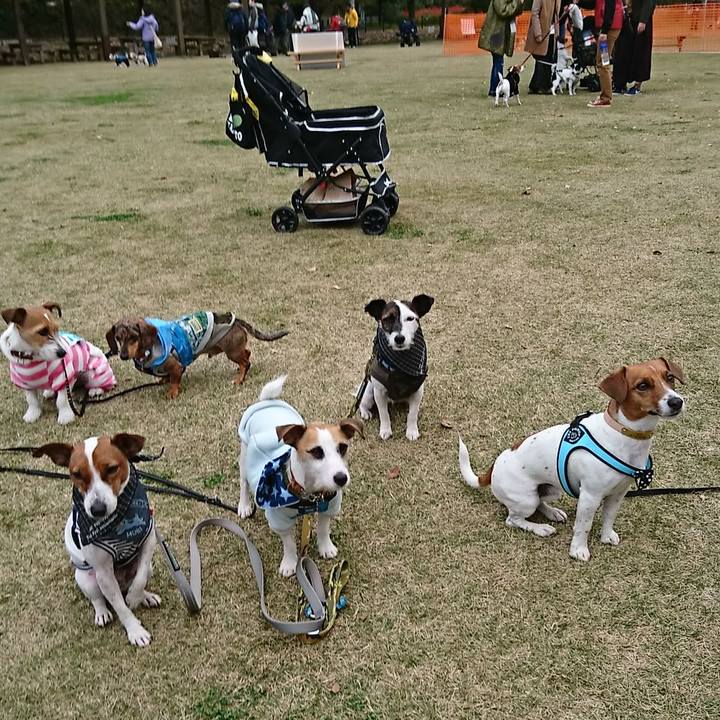 D9c39de6 5c9d 4f09 9593 b39e6646e6c4 1543045297437