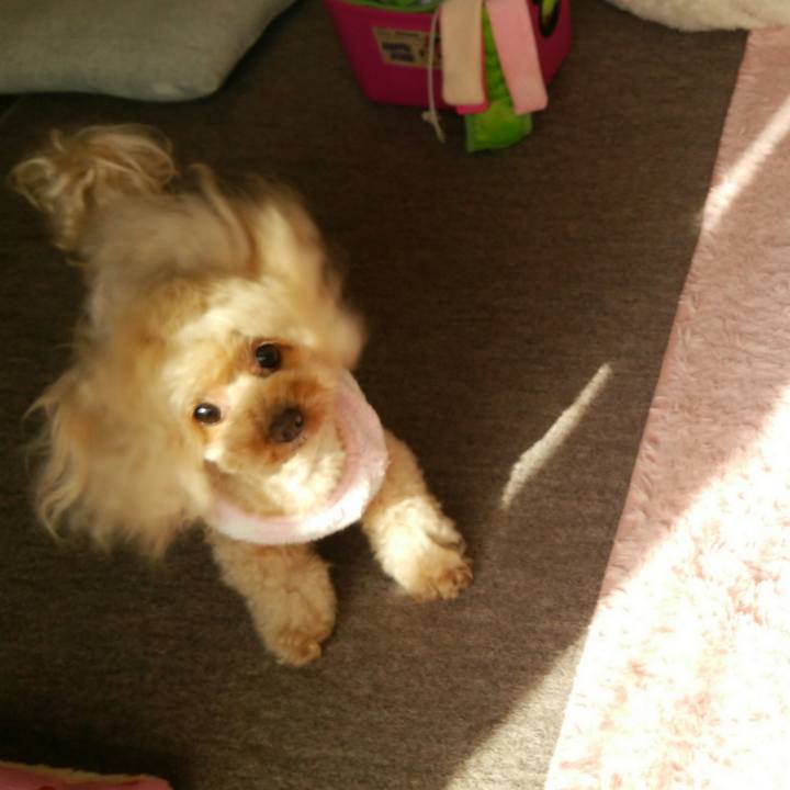 D9c3b4df e94f 4046 b3ce 2e340cb9e695 1548836753013