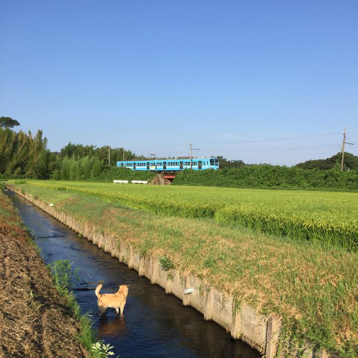 D9c40887 9d53 46e2 9be9 c9d9c4212b9b 1565476733430