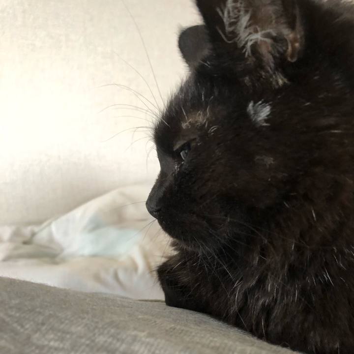 D9c42753 d9c8 44cd b98d 5493c5ae5ea7 1597113913047