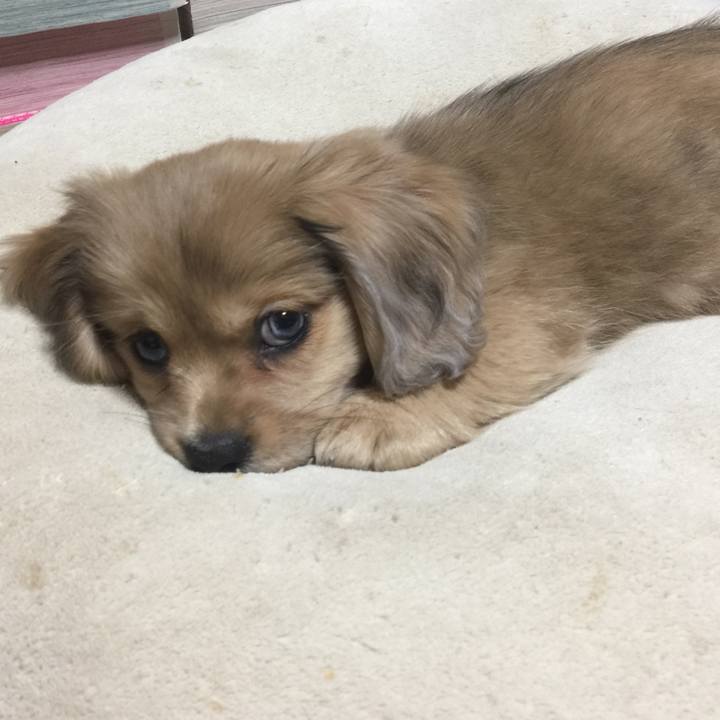 D9c4512c 498b 451c 8ae4 f799aab427a6 1604353199467