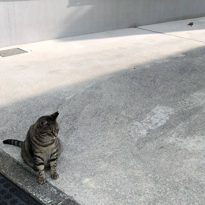 D9c4581b 710e 4162 8114 8d33241c8850 1532909422430