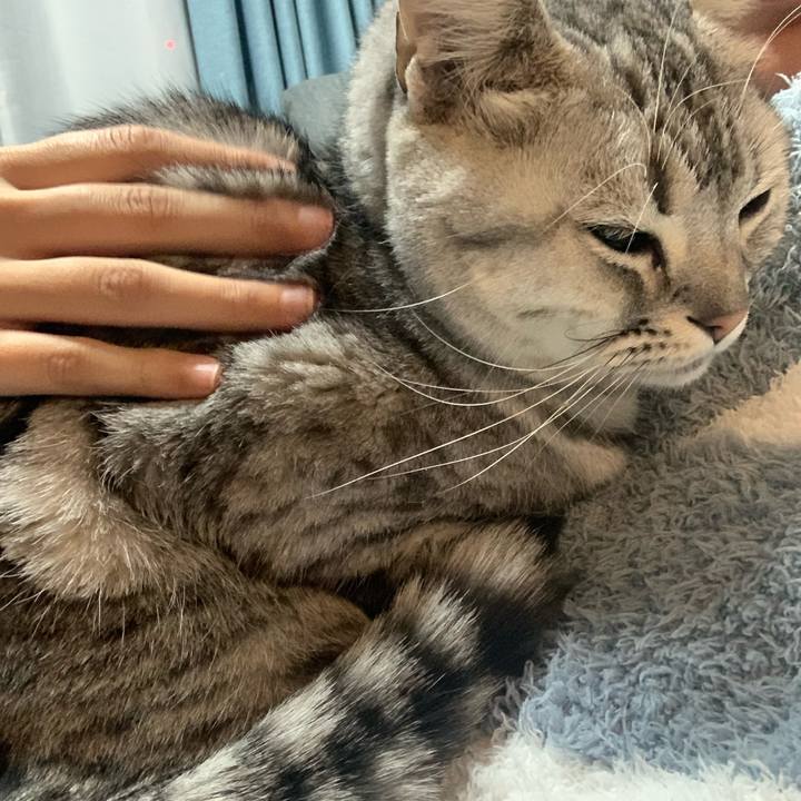 D9c45d4a a3db 4b35 8f72 c9af6076c7c5 1641465339983