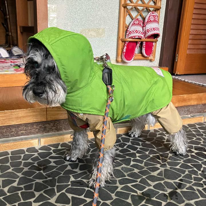 D9c45ee6 1f24 4f26 8e9b f27bcf7c1293 1716897885456