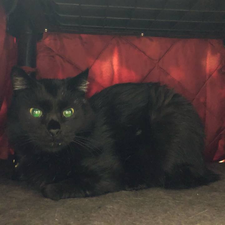 D9c48302 d4de 48f5 96c4 598b6ad2dbae 1619443831270