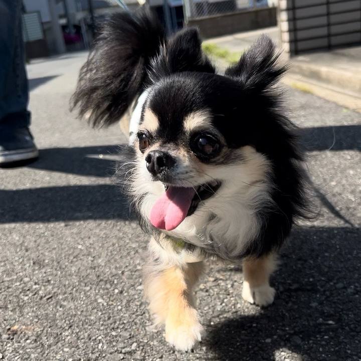 D9c49a19 a686 475b a211 3ae788e00b64 1714264593291