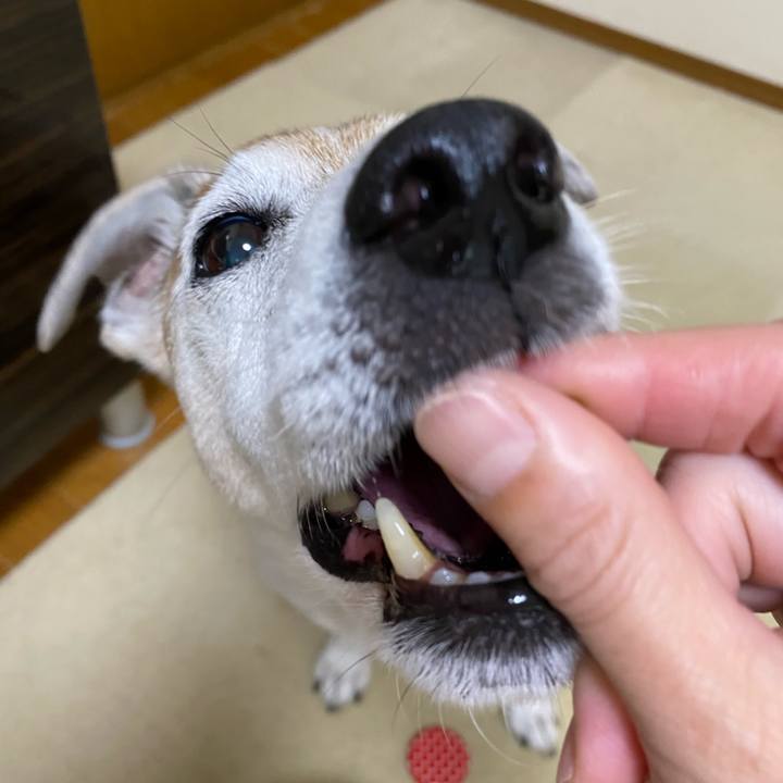 D9c4a01a 112e 4fe6 9ad0 f60e1607d551 1599256265730